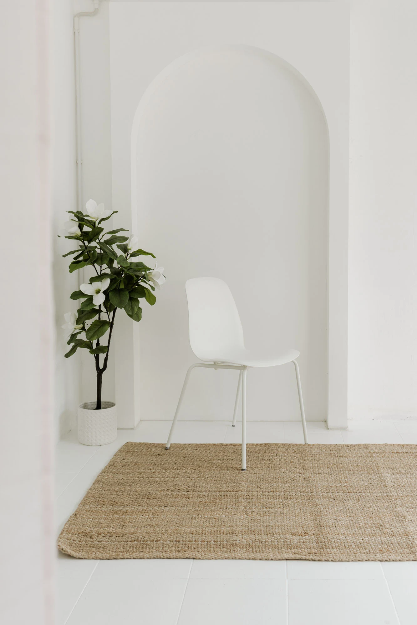 Dramatic fashion model photography showcasing a seasonal brand lookbook